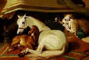 unknow artist Horses 036 oil painting picture wholesale